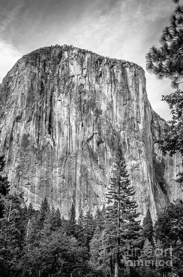 Southwest face of El Capitan from Yosemite Valley Photograph by RicardMN Photography