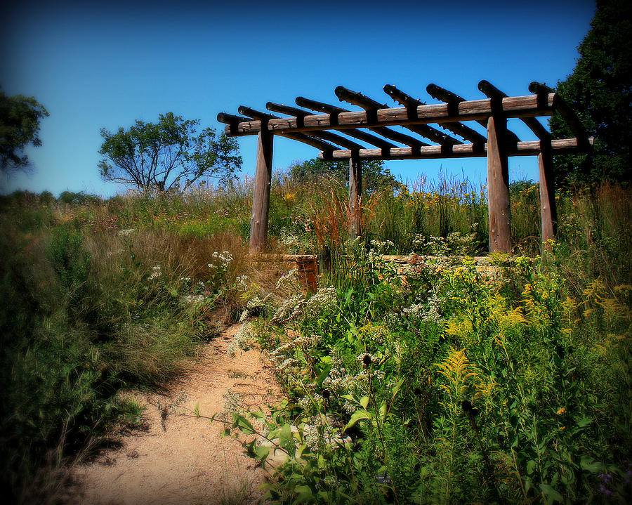 Flower Photograph - Southwest Gazebo by Perry Webster