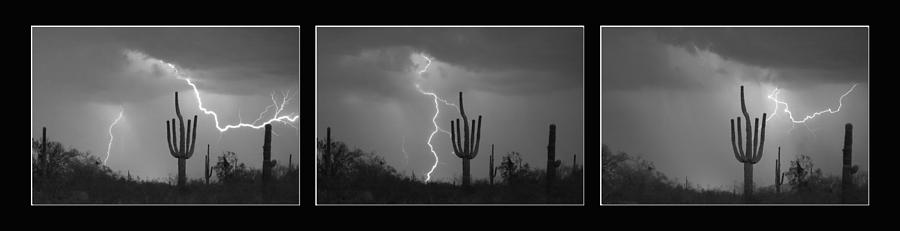 Southwest Saguaro Cactus Desert Storm Panorama BW Photograph by James BO Insogna