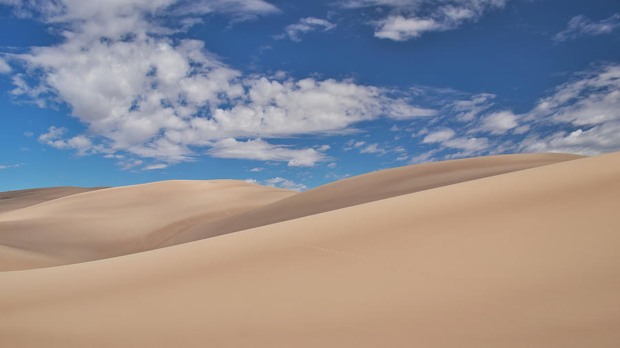 Southwest Sands of Colorado Photograph by Kevin Schwalbe