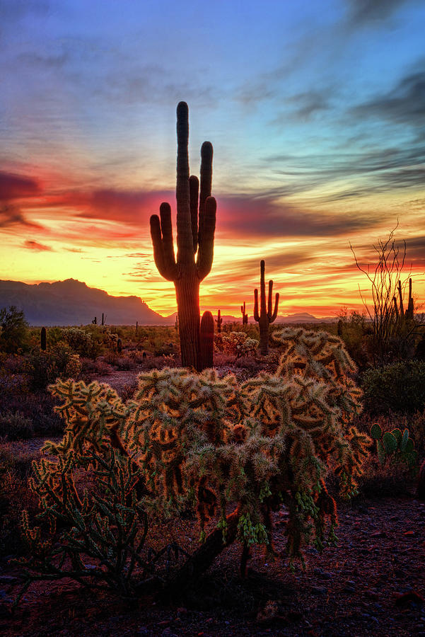 Southwest Sunrise Photograph by Saija Lehtonen - Fine Art America