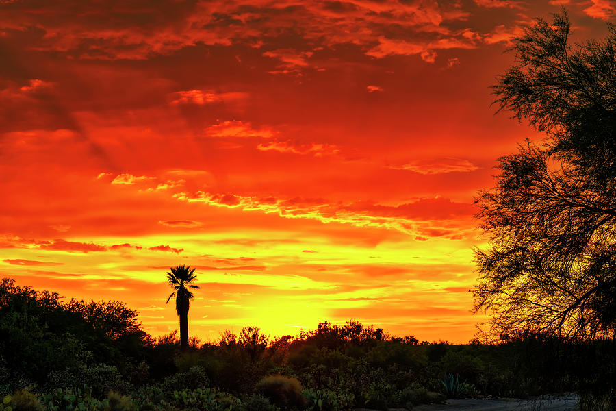 Southwest Sunset h13 Photograph by Mark Myhaver