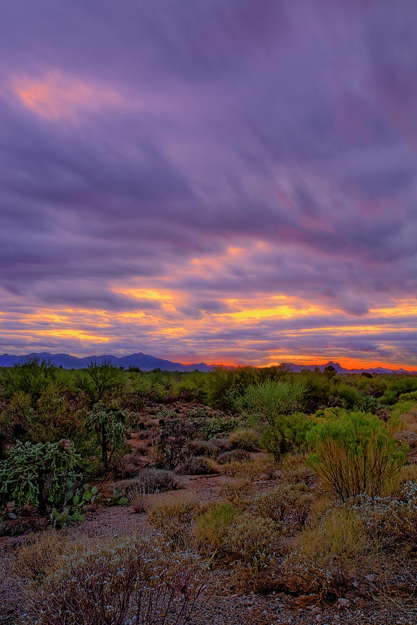 Southwest Sunset v11 Photograph by Mark Myhaver