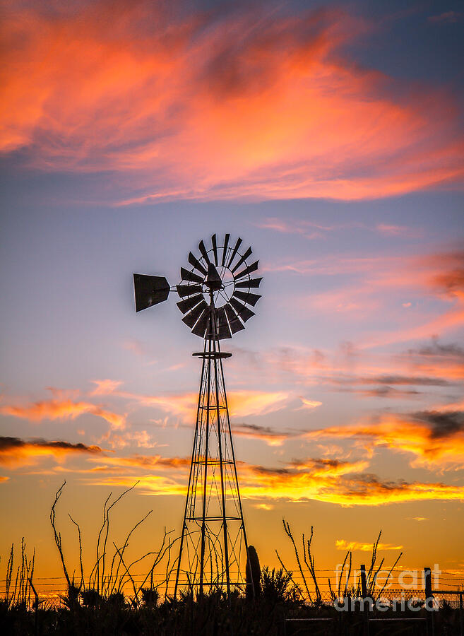 Sunset Photograph - Southwest Windmill by Robert Bales