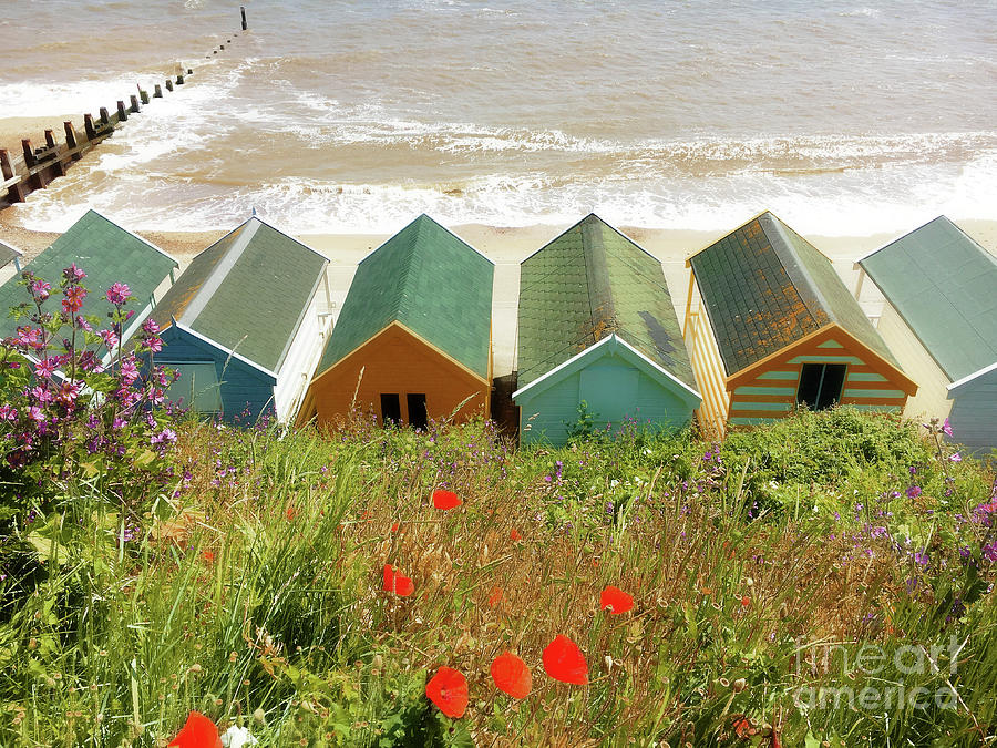 Architecture Photograph - Southwold beach huts by Tom Gowanlock