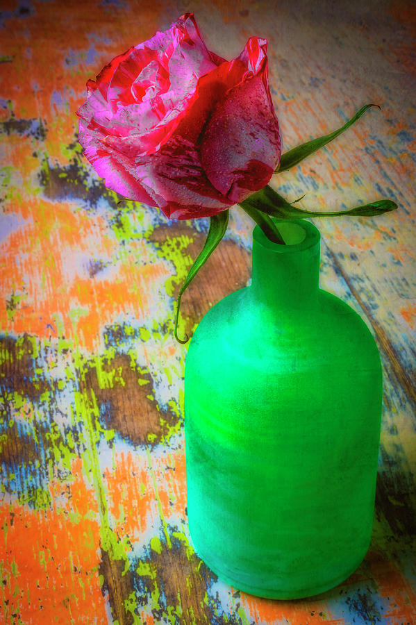 Soutime Rose In Green Vase Photograph by Garry Gay