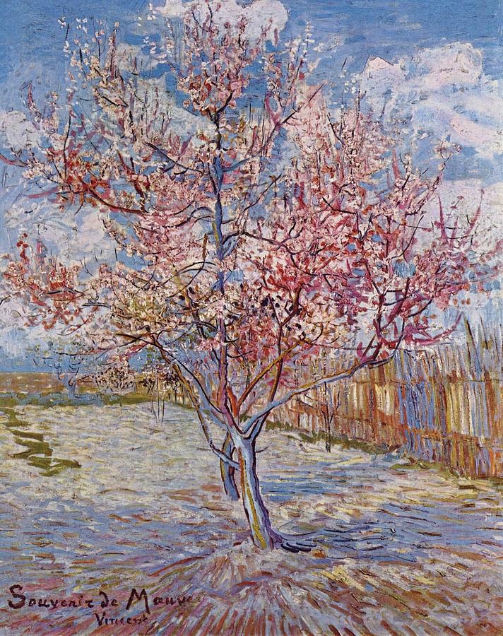 Souvenir De Mauve Painting by Vincent Van Gogh