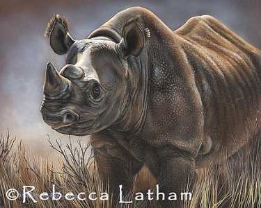 Rhino Painting - Sovereign - Black Rhino by Rebecca Latham Rhino Painting - Sovereign - Black Rhino by Rebecca Latham