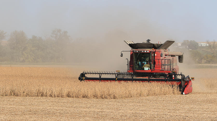 Soybean Harvest in Fremont County Iowa Photograph by J Laughlin