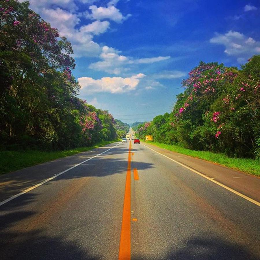 Instagram Photograph - Sp-31 - Indio Tibiriça Road - Sp-31 - by Kiko Lazlo Correia