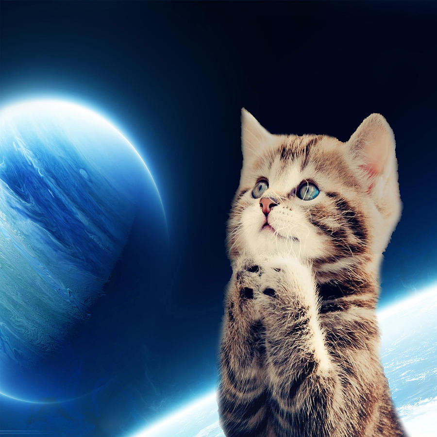 Space Cat Epic Mixed Media by Zachary Govitz
