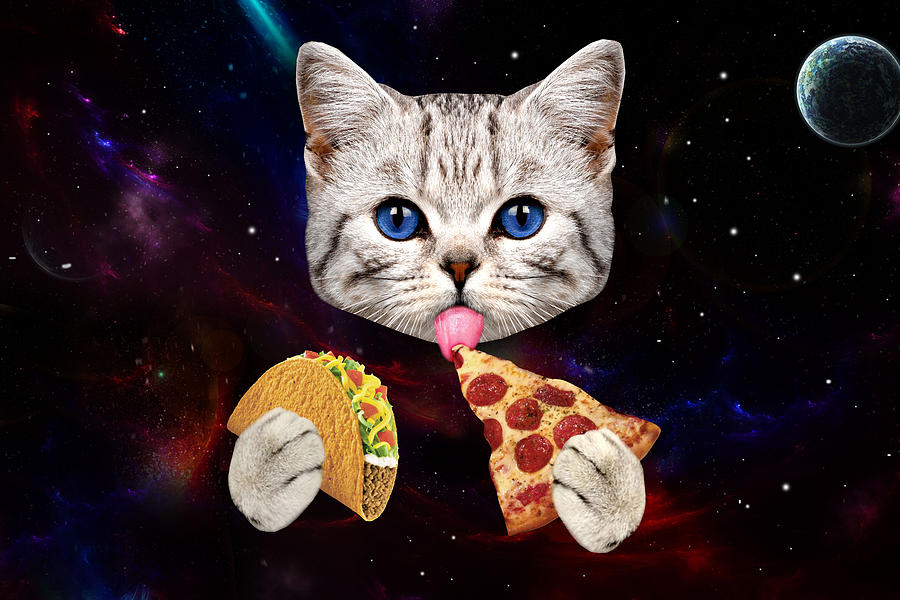Cat Digital Art - Space Cat with taco and pizza by Johnnie Art