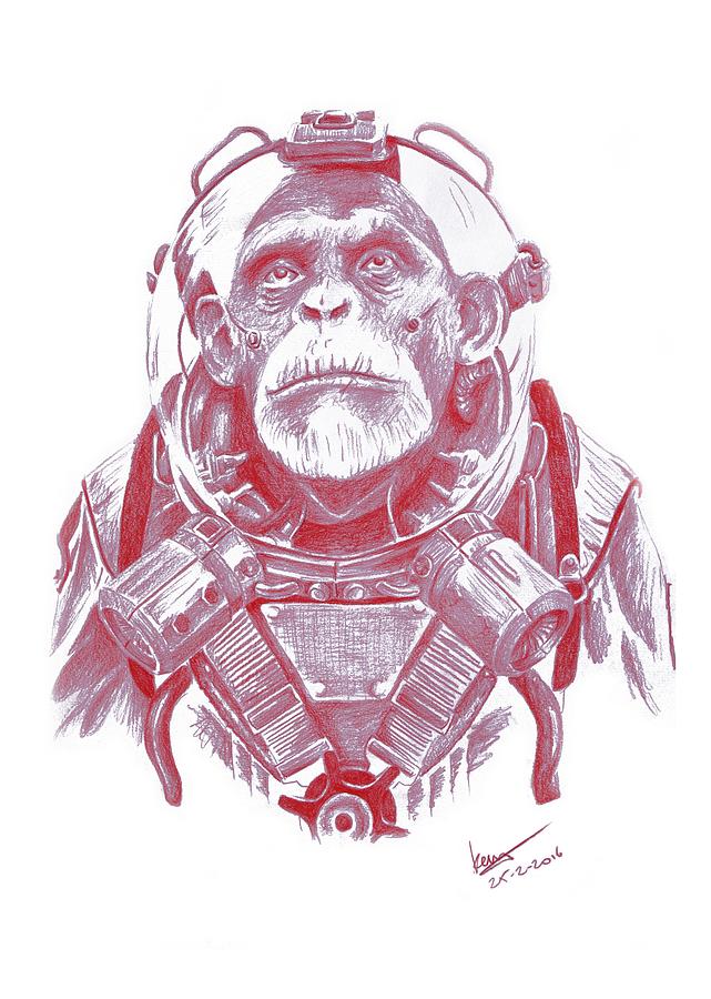 Monkey Drawing - Space chimp by Kenny Noorlander