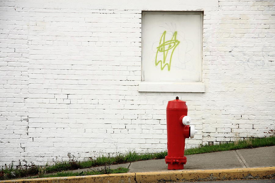 Space Invader And The Unsuspecting Hydrant  Photograph by Kreddible Trout