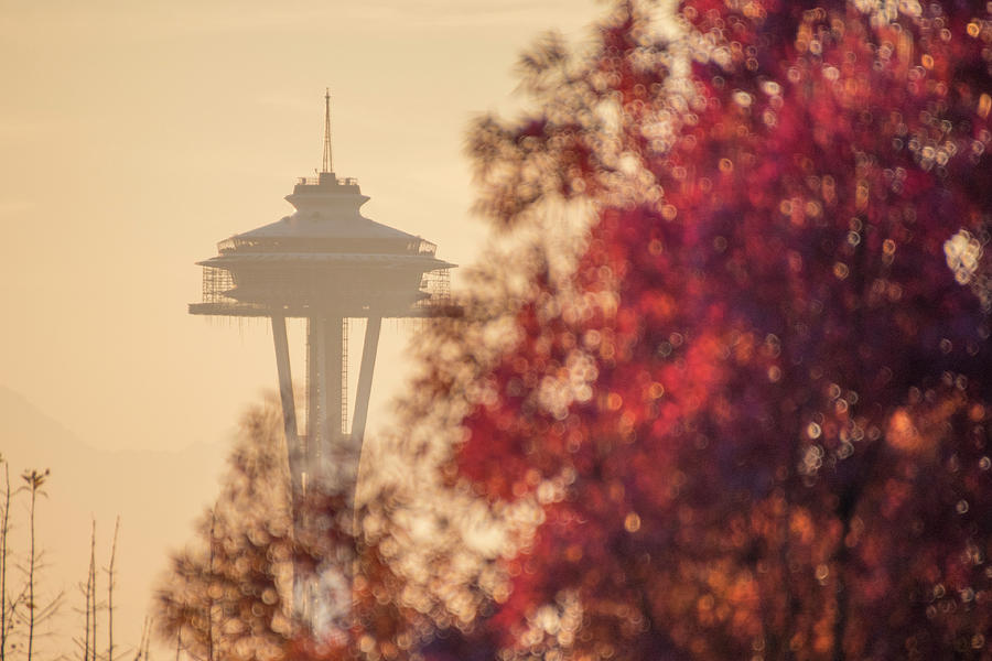 Space Needle In the Fall Photograph by Matt McDonald