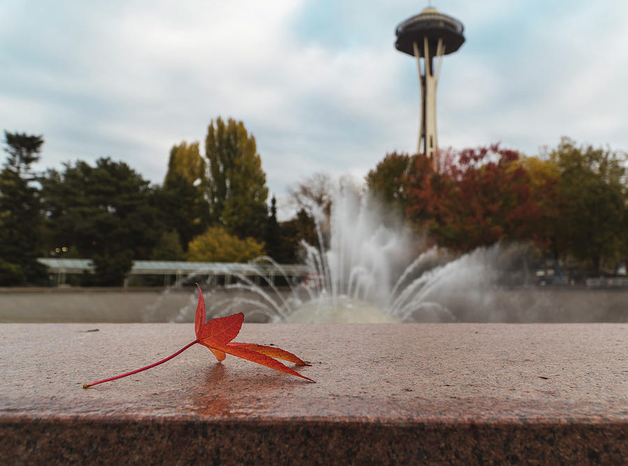 Space Needle In The Fall Photograph