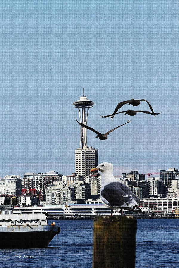 Space Needle Pelicans And Sea Gull Photograph by Tom Janca
