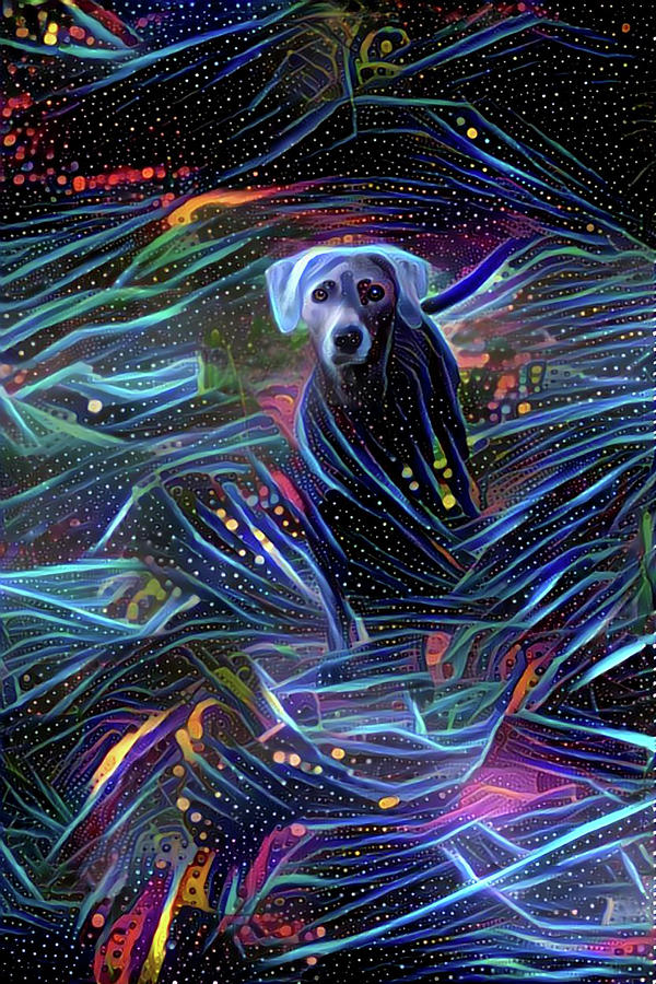 Spacey Lacy Digital Art by Peggy Collins