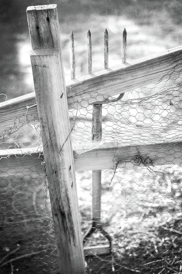 Spading Fork On Chicken Wire Fence in Black and White Photograph by YoPedro
