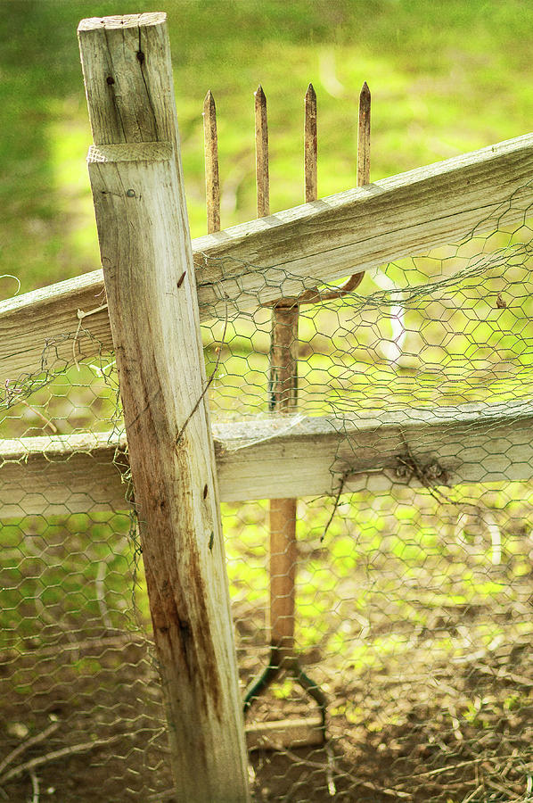 Spading Fork On Chicken Wire Fence Photograph