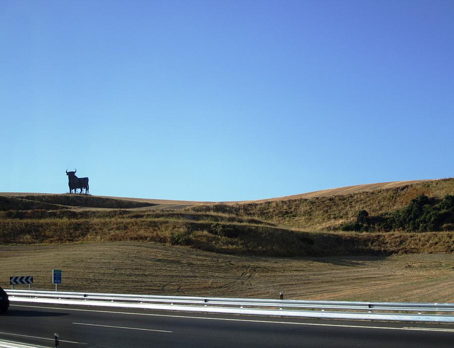 Spain Bull on the Way to Cordoba Photograph by John Shiron