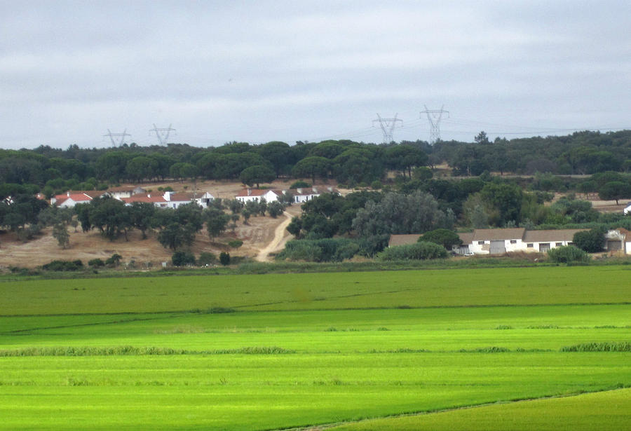 Spain Country Side Towards Seville Photograph by John Shiron