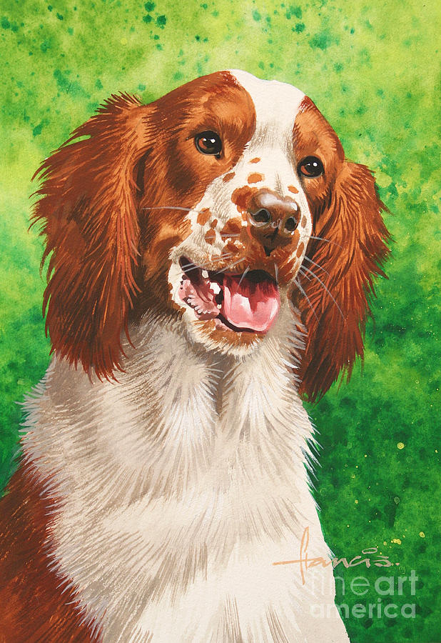 Spaniel Painting by MGL Meiklejohn Graphics Licensing