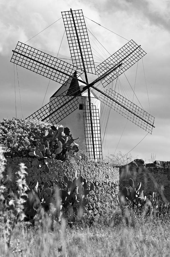 Spanish Wind Mill Black And Whit Photograph
