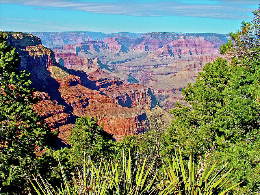 Spanish Bayonet near Hermits Rest at West End of South Rim in Grand Canyon National Park-Arizona Photograph by Ruth Hager