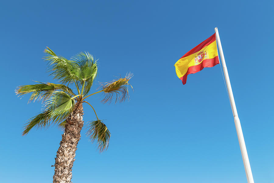 Nature Photograph - Spanish flag and palm tree in the blue sky by GoodMood Art