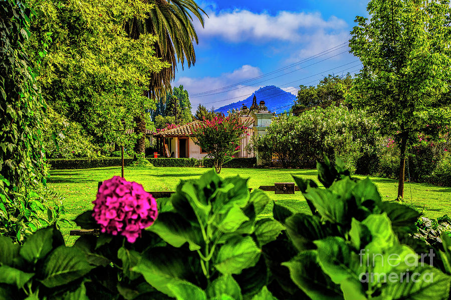 Spanish Garden Photograph by Rick Bragan