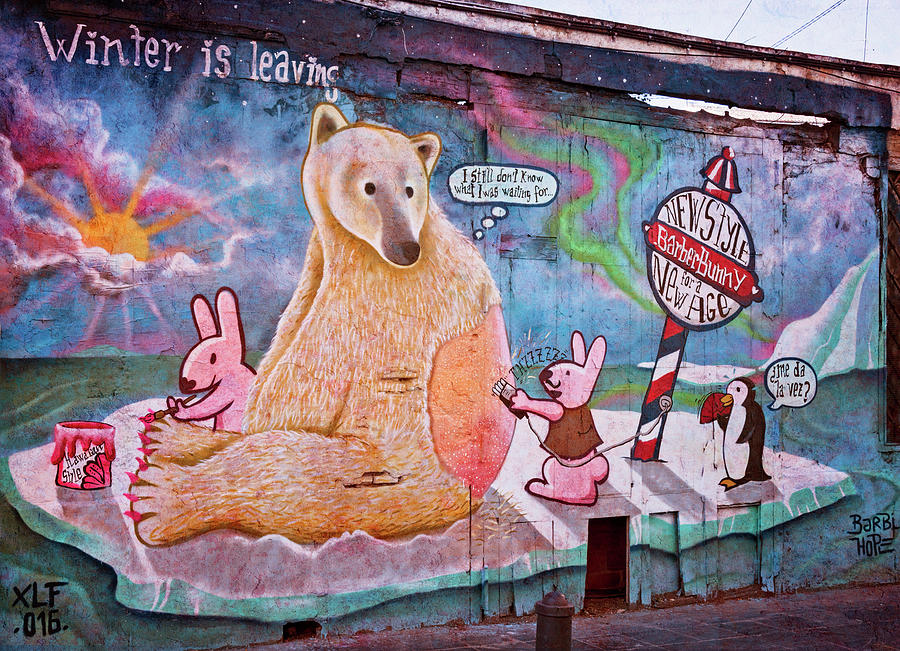 Penguin Photograph - Spanish Graffiti Panel  by Joan Carroll
