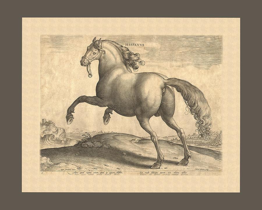 Horse Digital Art - Spanish Horse Renaissance Engraving by Village Antiques