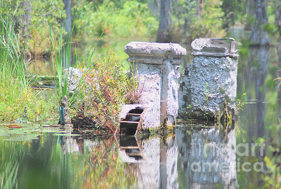 Spanish Mission Remains Cypress Gardens Sc Photograph By