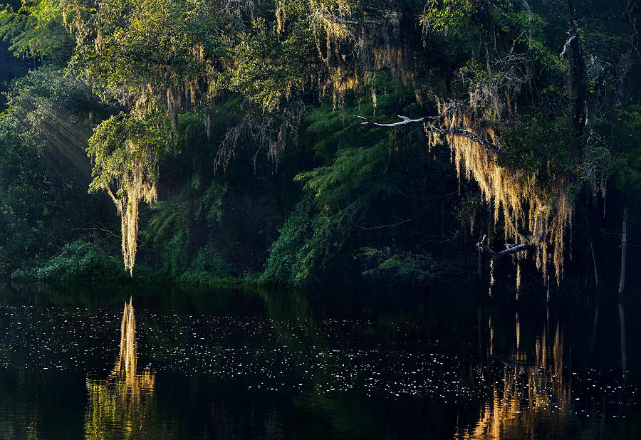 Southern Charm Photograph by Bill Chambers