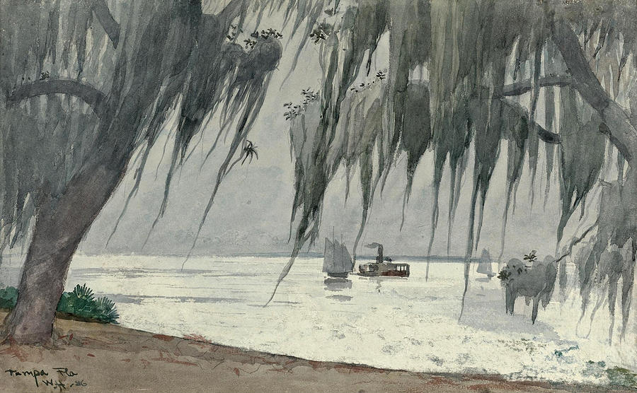 Spanish Moss at Tampa Drawing by Winslow Homer