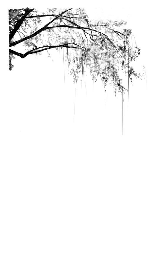 Spanish Moss in Black and White Digital Art by Thomas Hamm