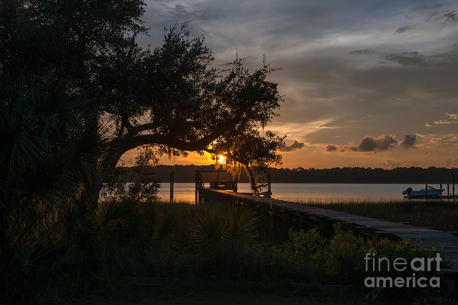 Spanish Moss Sunset over the Wando River Photograph by Dale Powell