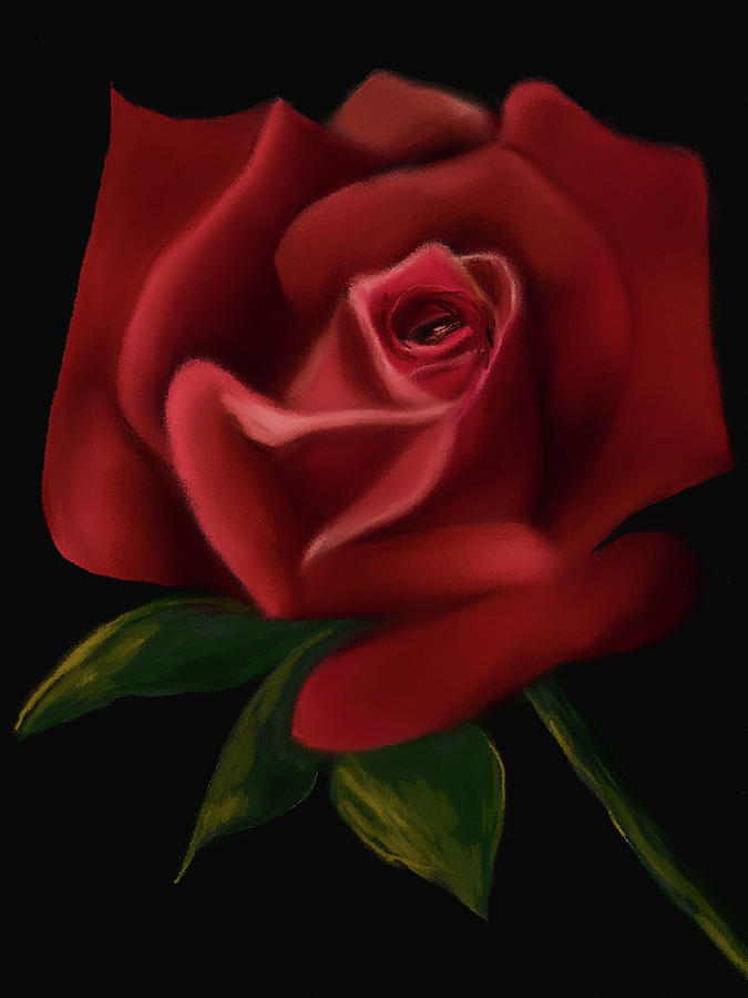 Spanish Red Rose Digital Art by Michele Koutris