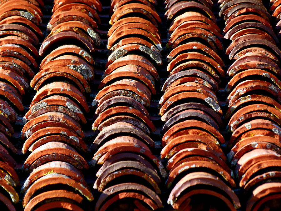 Spanish Roof Tiles Photograph by Jeff Lowe