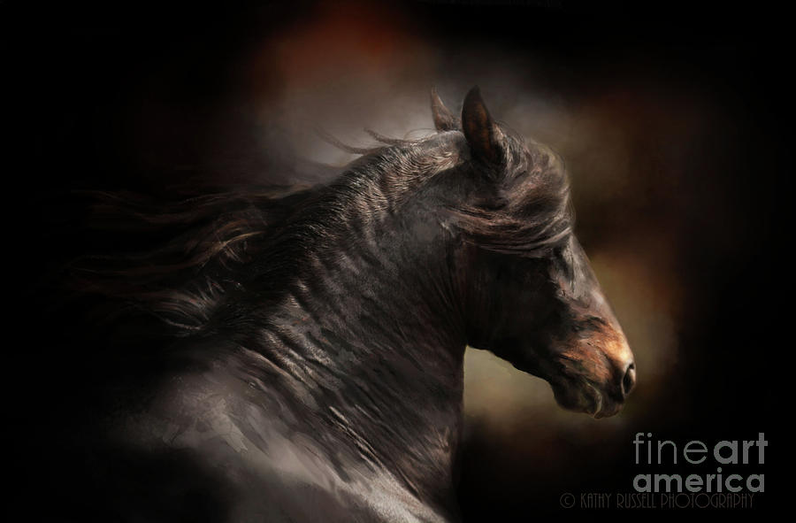 Spanish Stallion Photograph by Kathy Russell