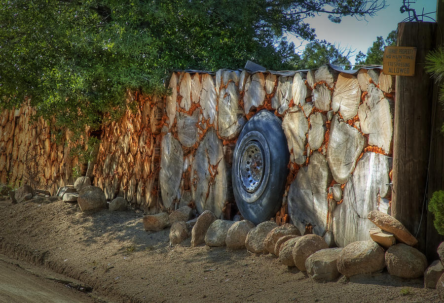 Spare Tire Photograph by Fred Lassmann