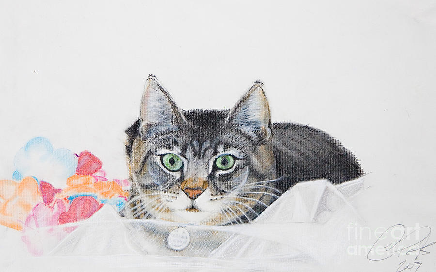 Cats Painting - Sparkle by Raymond Potts Cats Painting - Sparkle by Raymond Potts
