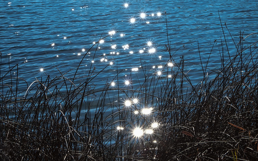 Sparkles at Riverbend Ponds Photograph by Monte Stevens