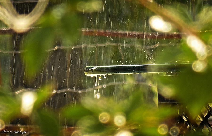 Sparkling Afternoon Rain Shower Photograph by Matt Taylor - Fine Art ...