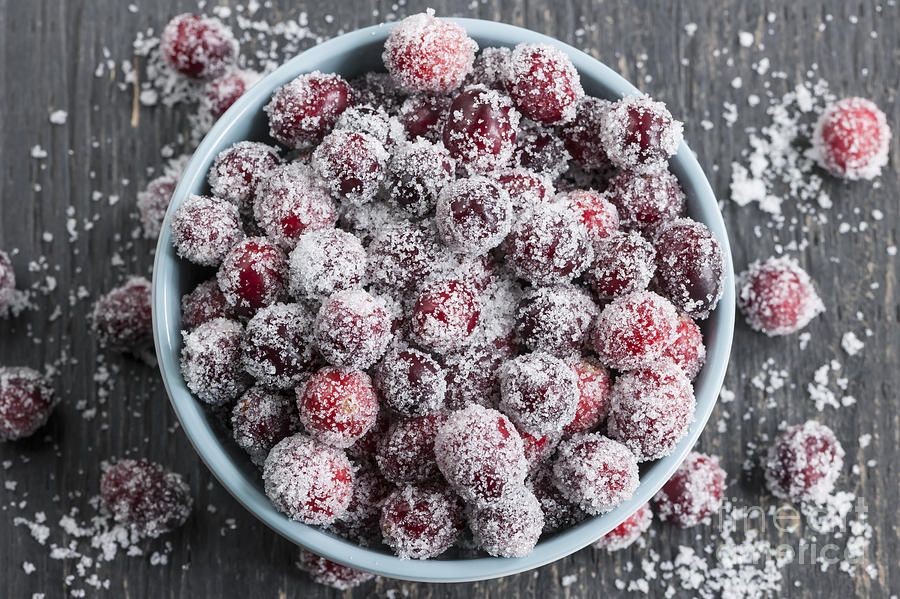 Sparkling cranberries Photograph by Elena Elisseeva