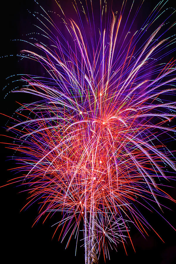 Independence Day Photograph - Sparkling Fireworks by Garry Gay