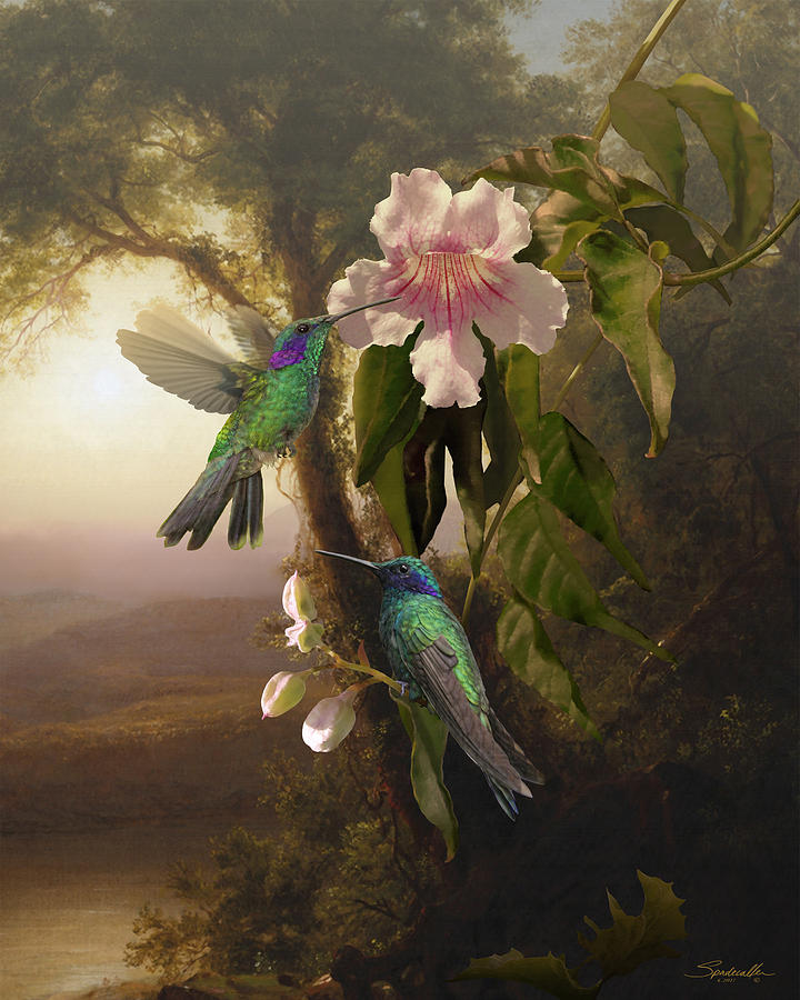 Sparkling Violetear Hummingbirds and Trumpet Flower Digital Art by M Spadecaller