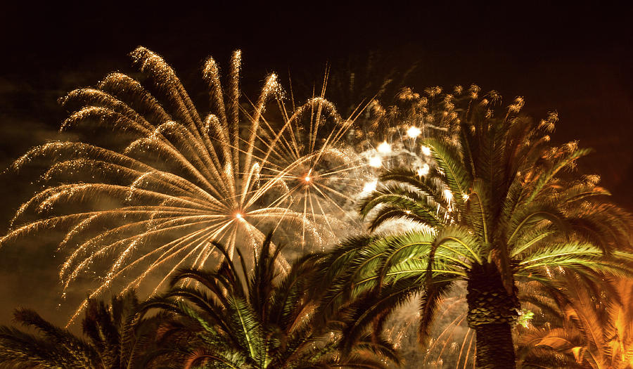 Sparkly New Years Fireworks Photograph by Bonnie Follett