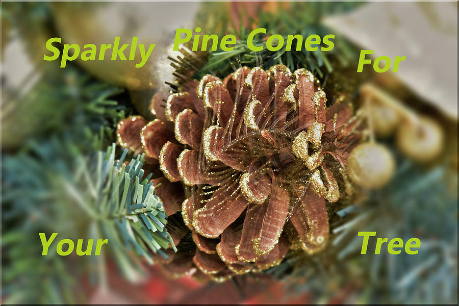 Sparkly Pine Cones for Your Tree  Photograph by Linda Brody